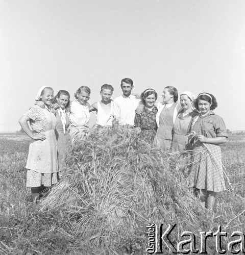 1953, Spó³dzielnia Produkcyjna Dêbno, okolice £añcuta, Polska Brygada polowa przy snopku pszenicy Fot. Irena Jarosiñska, zbiory Orodka KARTA